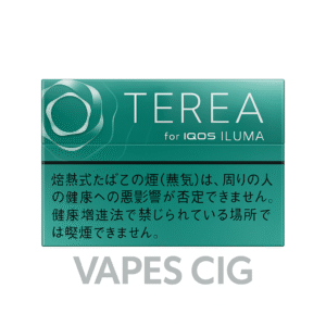 TEREA MENTHOL