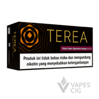 Terea Gold Edition pack – Buy Terea Gold Edition Online at Vapescig Smooth IQOS ILUMA compatible Terea Gold Edition sticks – Vapescig Premium Terea Gold Edition flavor – Smoke-free tobacco sticks